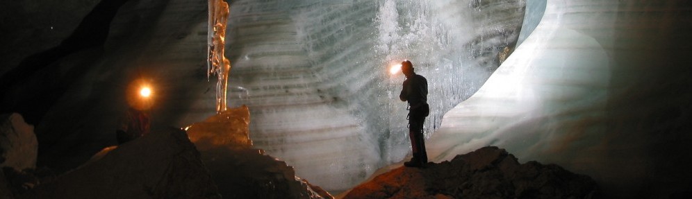 sind fledermäuse gefährlich